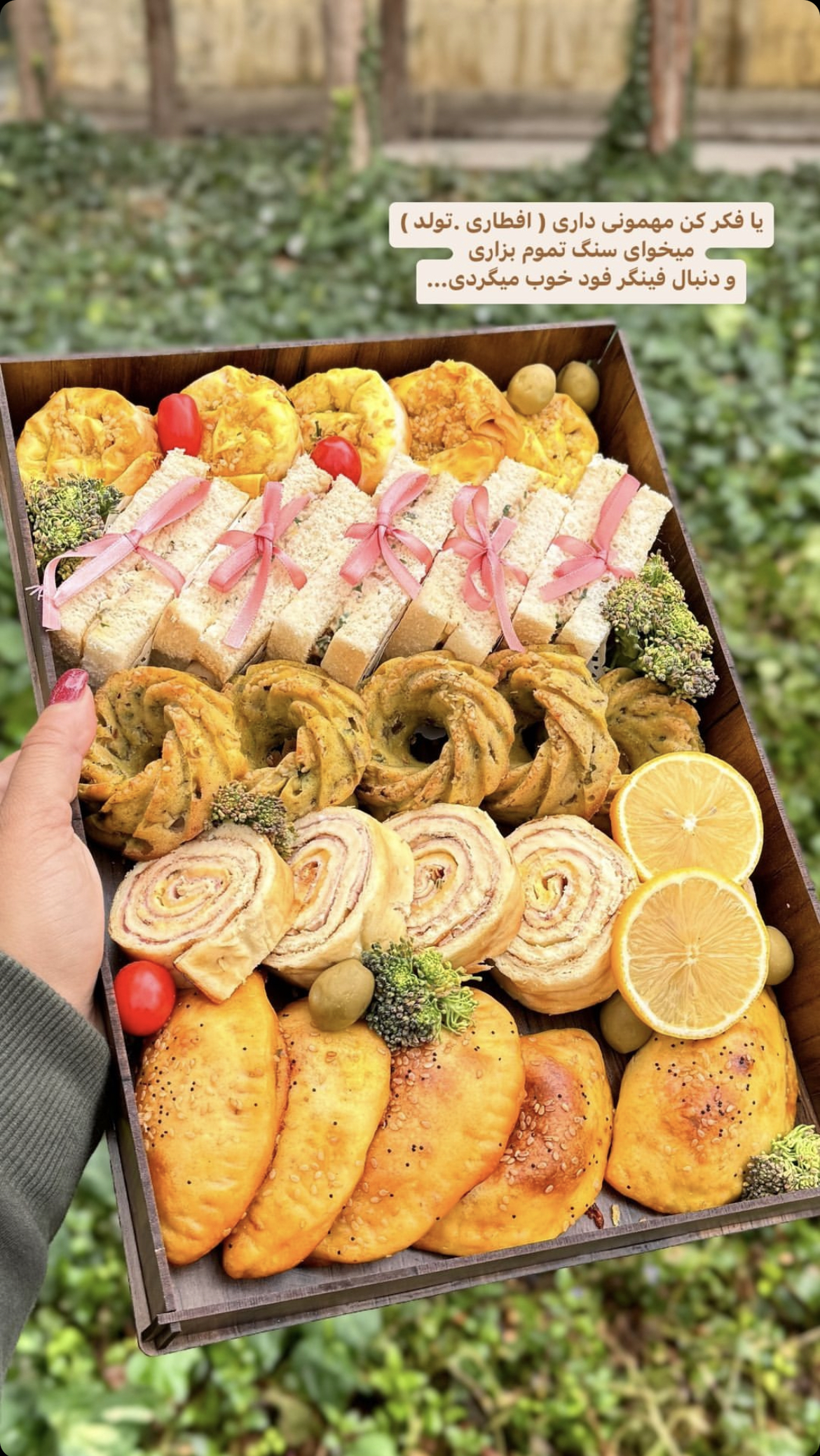 سینی فینگرفود